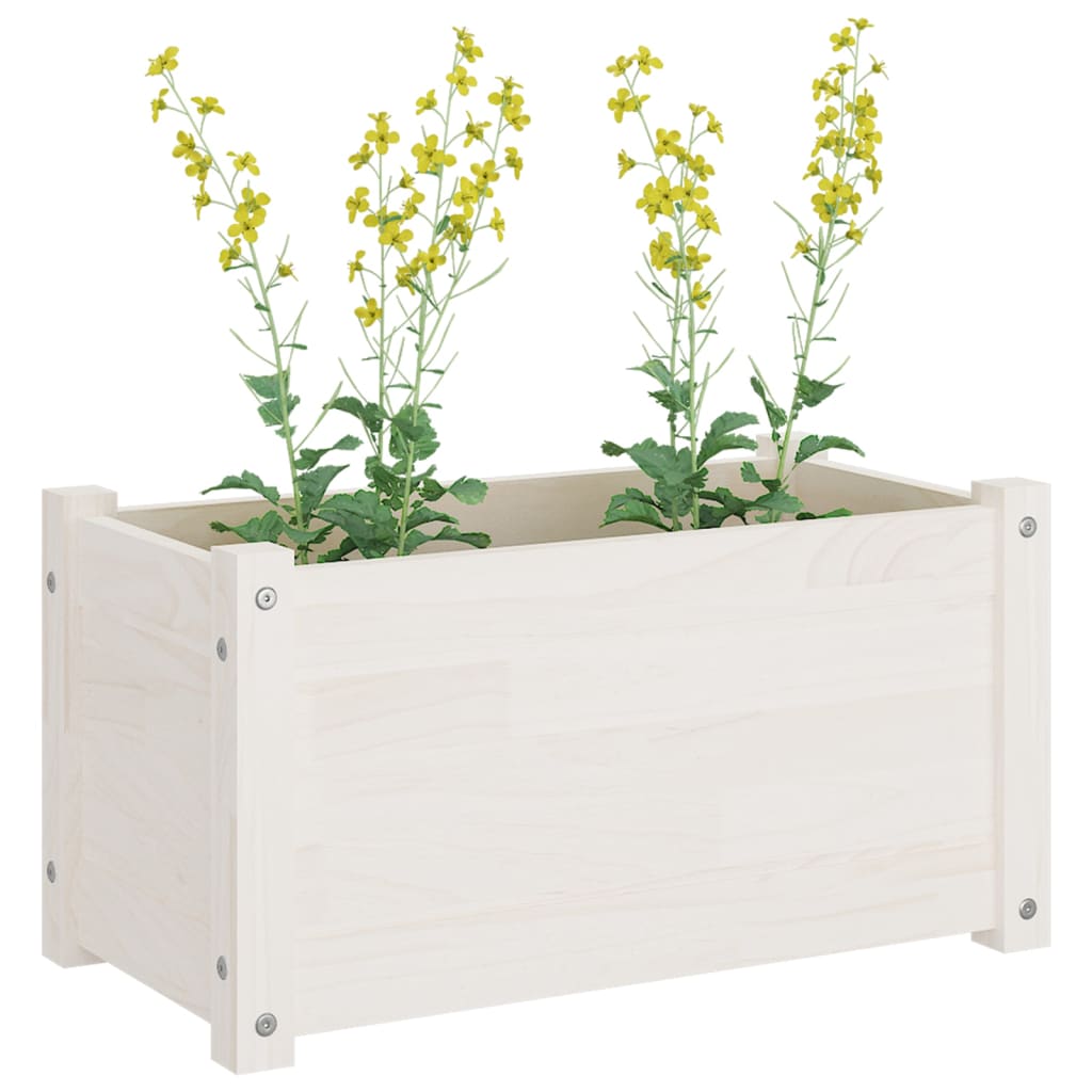 Puutarhan kukkalaatikot 2 kpl valkoinen 60x31x31 cm täysi mänty - Sisustajankoti.fi