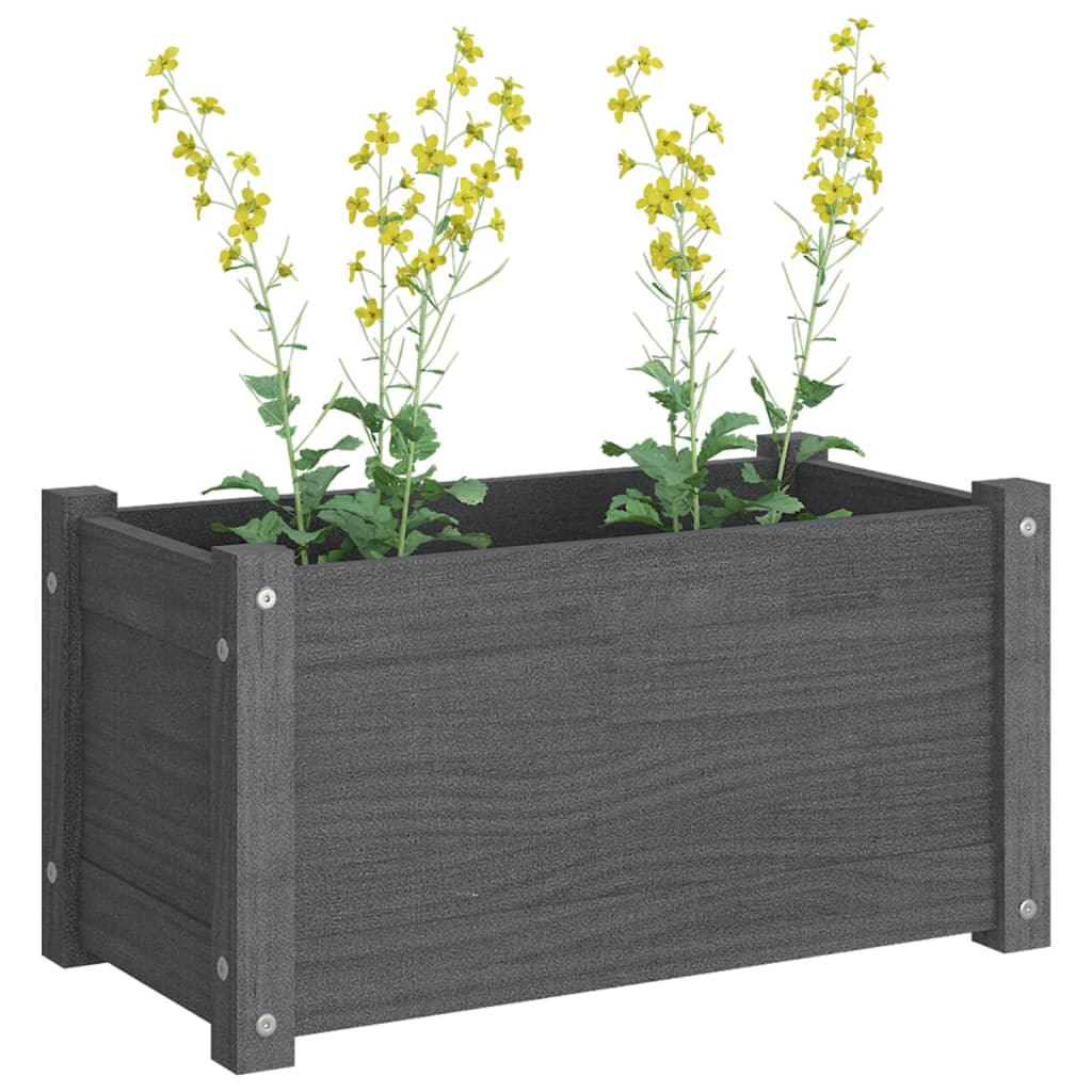 Puutarhan kukkalaatikko harmaa 60x31x31 cm täysi mänty - Sisustajankoti.fi