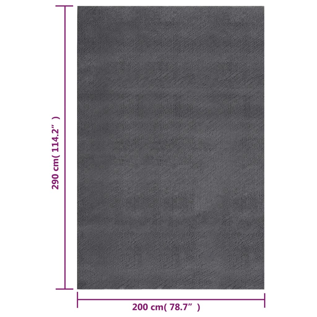 Matto pestävä pehmeä pörröinen 200x290 cm liukumaton antrasiit. - Sisustajankoti.fi
