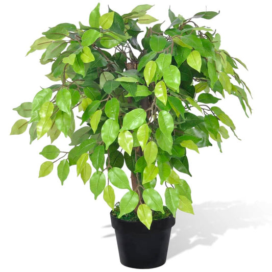 Tekokasvi Bonsaifiikus Ruukussa 60 cm - Sisustajankoti.fi