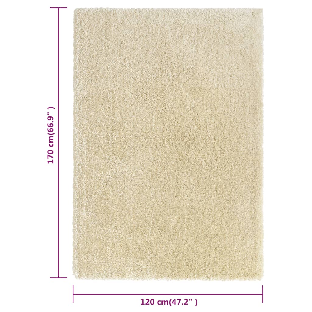 Korkeanukkainen Shaggy matto beige 120x170 cm 50 mm - Sisustajankoti.fi