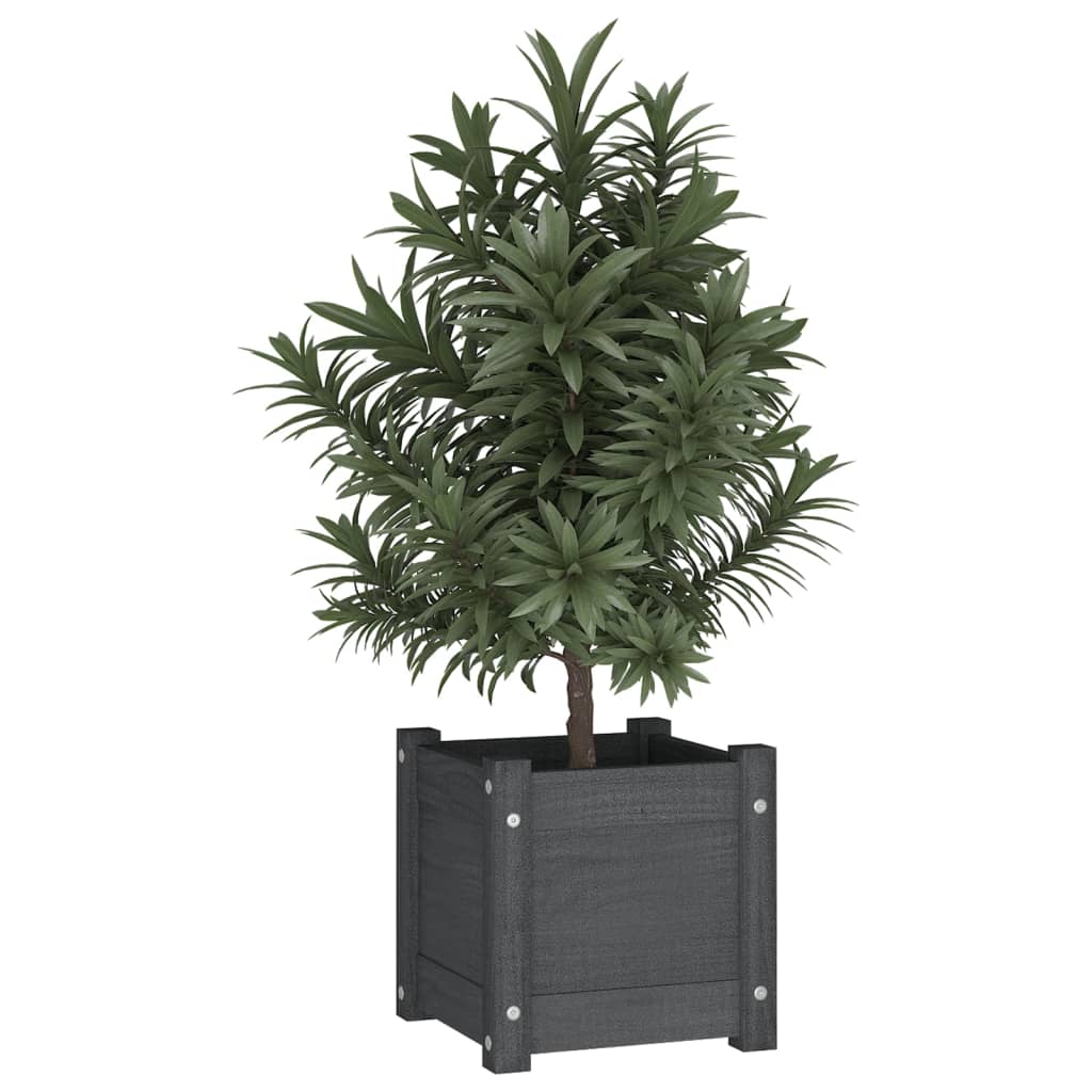 Puutarhan kukkalaatikot 2 kpl harmaa 31x31x31 cm täysi mänty - Sisustajankoti.fi
