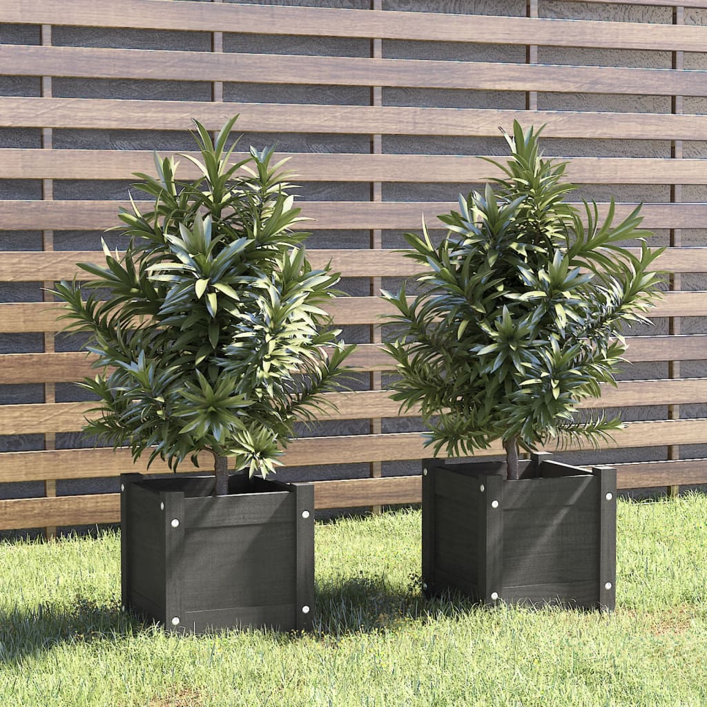 Puutarhan kukkalaatikot 2 kpl harmaa 31x31x31 cm täysi mänty - Sisustajankoti.fi