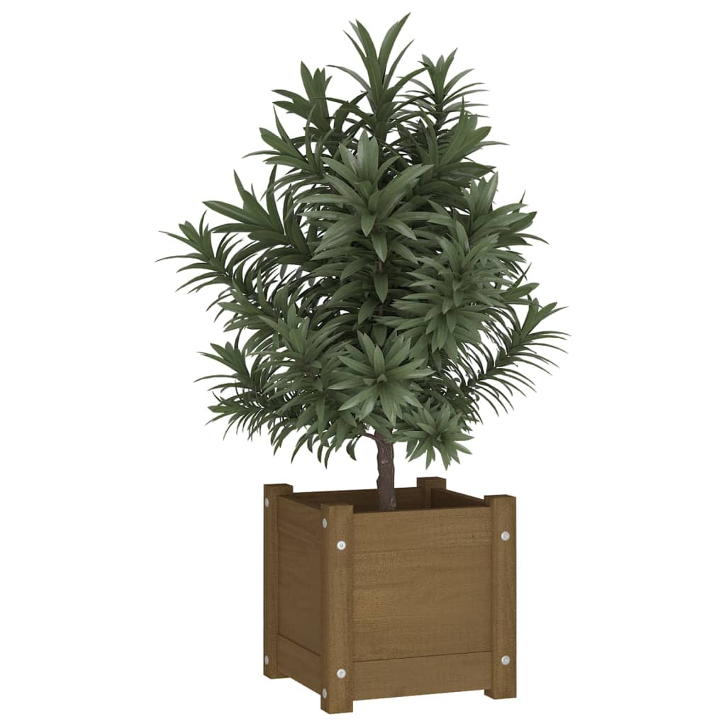 Puutarhan kukkalaatikot 2 kpl hunajanruskea 31x31x31 cm mänty - Sisustajankoti.fi