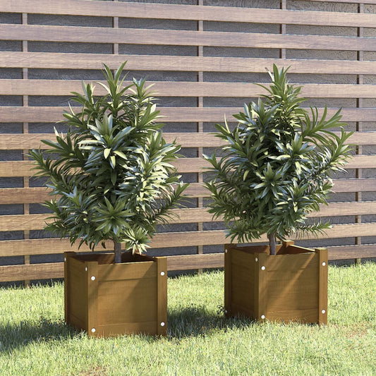 Puutarhan kukkalaatikot 2 kpl hunajanruskea 31x31x31 cm mänty - Sisustajankoti.fi