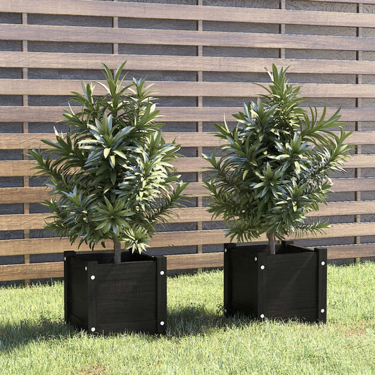 Puutarhan kukkalaatikot 2 kpl musta 31x31x31 cm täysi mänty - Sisustajankoti.fi