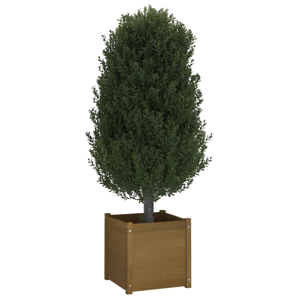 Puutarhan kukkalaatikot 2 kpl hunajanruskea 50x50x50 cm mänty - Sisustajankoti.fi