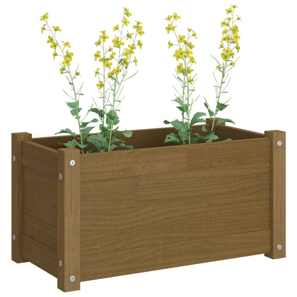 Puutarhan kukkalaatikot 2 kpl hunajanruskea 60x31x31 cm mänty - Sisustajankoti.fi