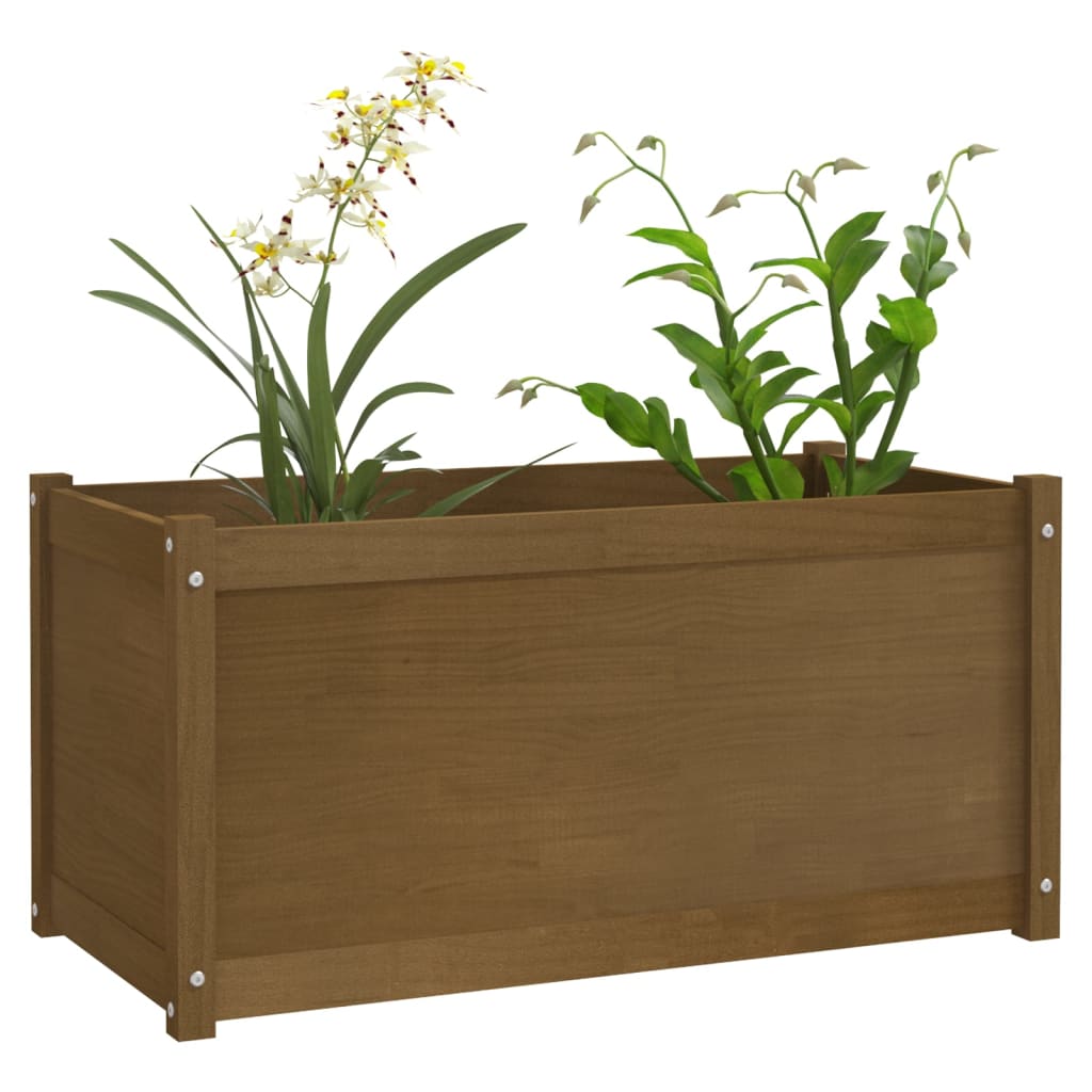 Puutarhan kukkalaatikko hunajanruskea 100x50x50 cm täysi mänty - Sisustajankoti.fi