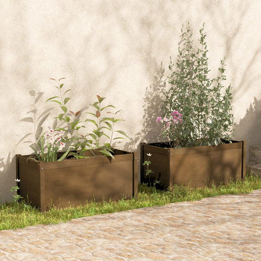 Puutarhan kukkalaatikot 2 kpl hunajanruskea 100x50x50 cm mänty - Sisustajankoti.fi