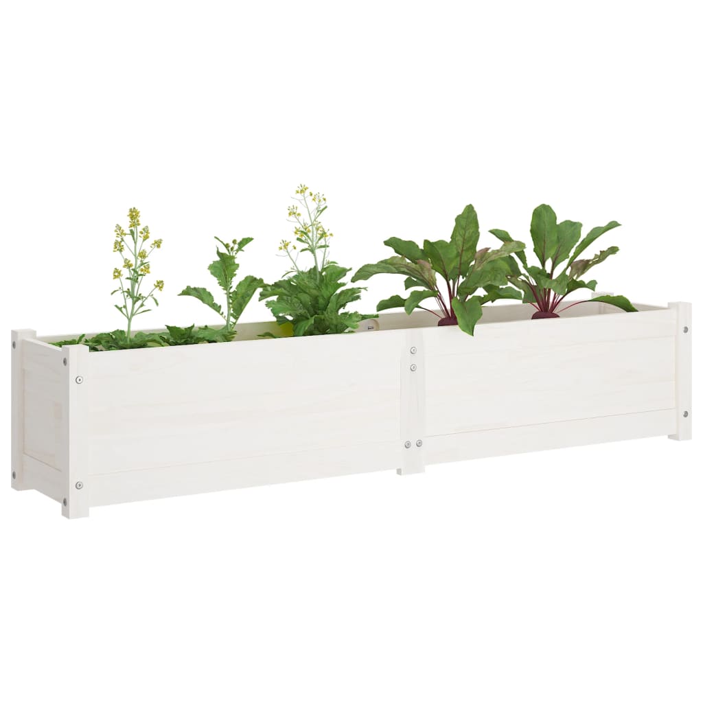 Korotetut kukkalaatikot 2 kpl valkoinen 150x31x31cm täysi mänty - Sisustajankoti.fi