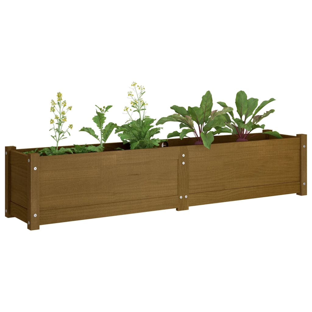 Korotettu kukkalaatikko hunajanruskea 150x31x31 cm täysi mänty - Sisustajankoti.fi