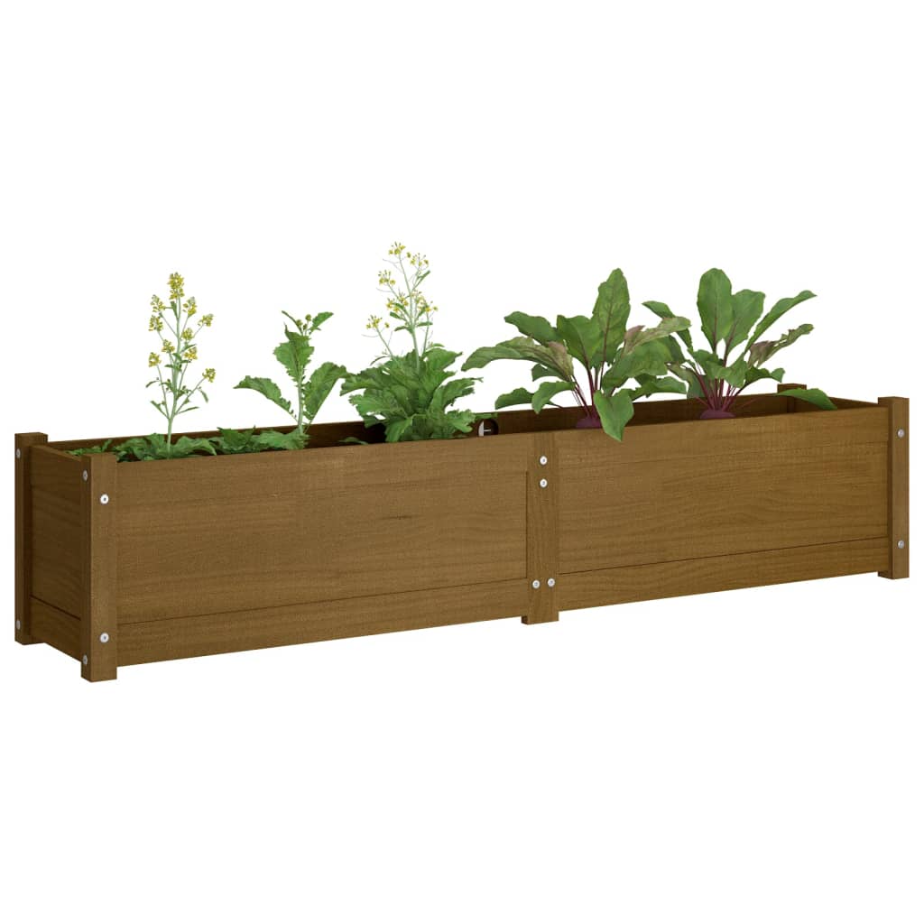 Korotetut kukkalaatikot 2 kpl hunajanruskea 150x31x31 cm mänty - Sisustajankoti.fi