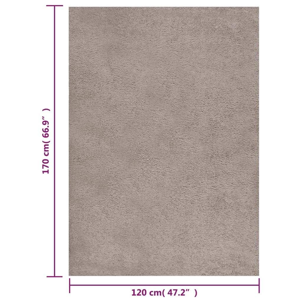 Pörrömatto korkeanukkainen beige 120x170 cm - Sisustajankoti.fi