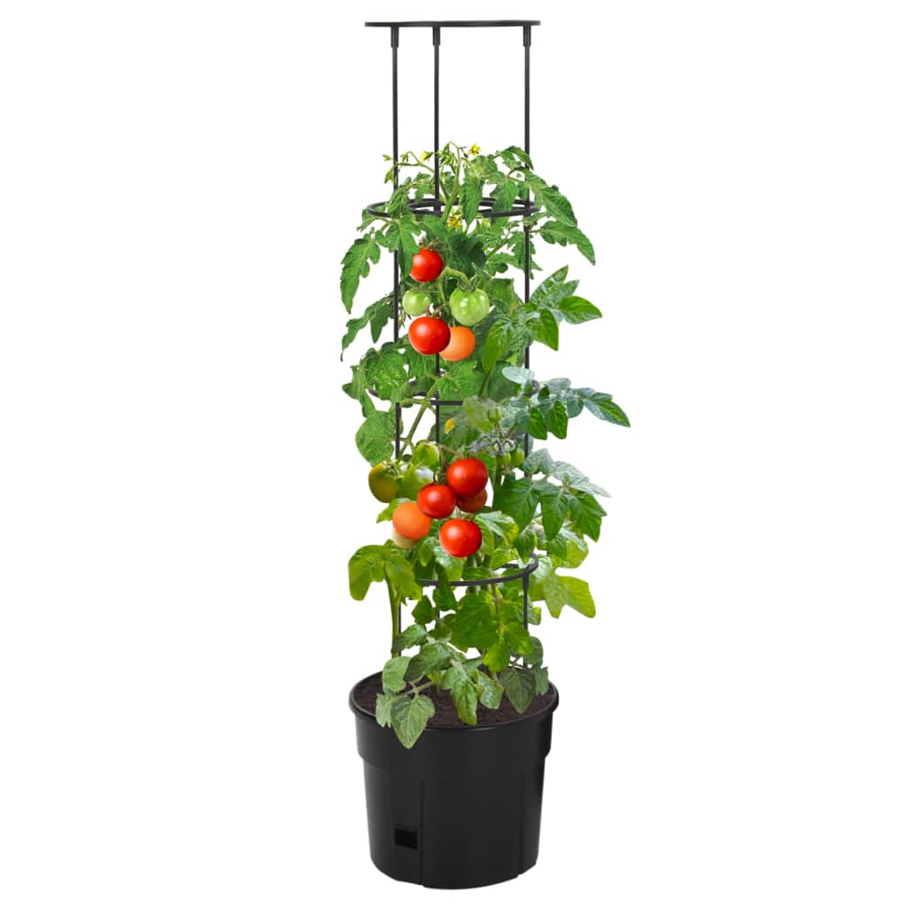 Tomaattiruukku antrasiitti Ø29,5x115 cm polypropeeni - Sisustajankoti.fi