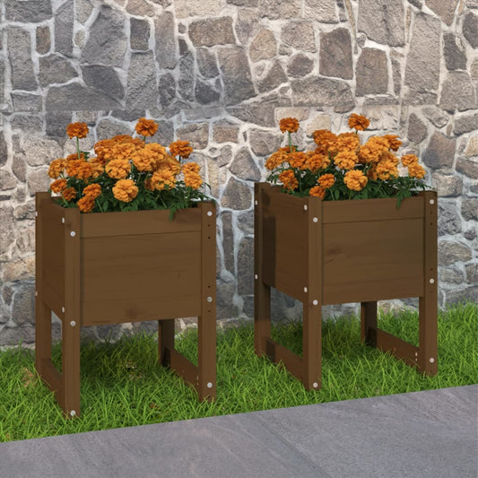 Kukkalaatikot 2 kpl hunajanruskea 40x40x52,5 cm täysi mänty - Sisustajankoti.fi